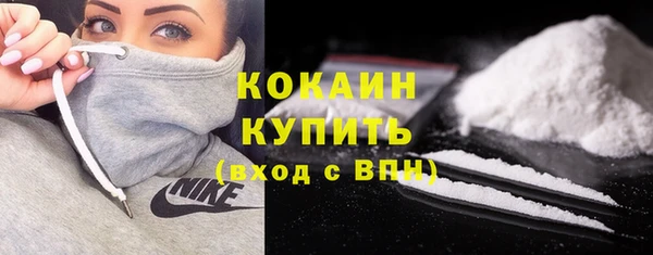 ПСИЛОЦИБИНОВЫЕ ГРИБЫ Заводоуковск
