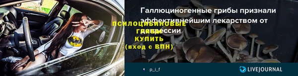 индика Заволжье