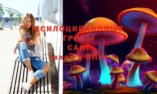 ПСИЛОЦИБИНОВЫЕ ГРИБЫ Заводоуковск