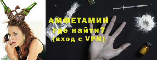 индика Заволжье