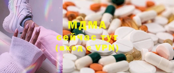 индика Заволжье