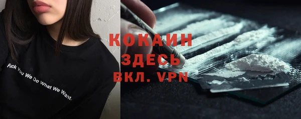 ПСИЛОЦИБИНОВЫЕ ГРИБЫ Заводоуковск