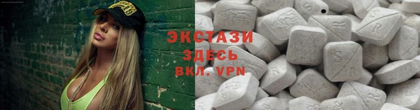 индика Заволжье