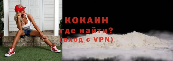 индика Заволжье