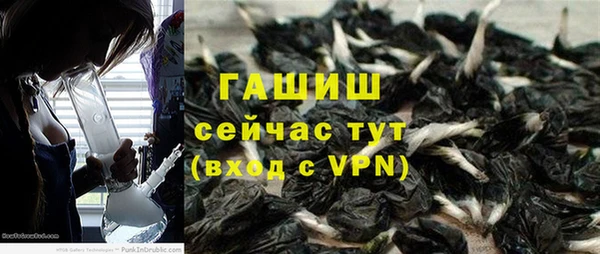 индика Заволжье
