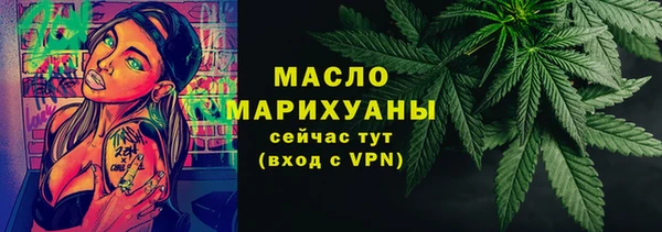 индика Заволжье