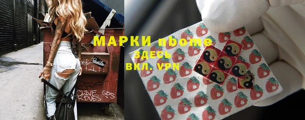 индика Заволжье
