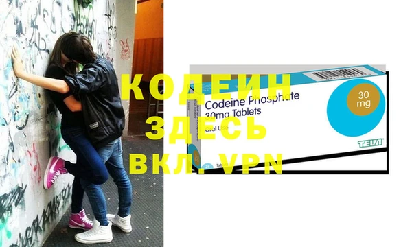 индика Заволжье