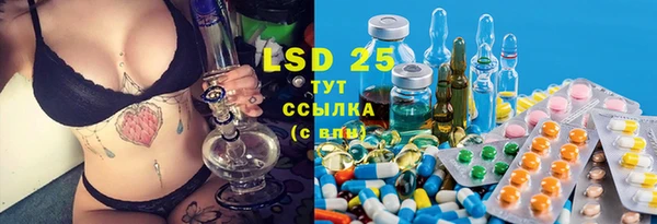индика Заволжье