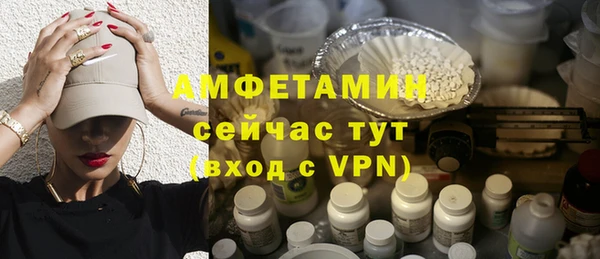 индика Заволжье
