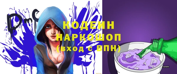 индика Заволжье